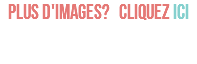 PLUS D'IMAGES? CLIQUEZ ICI